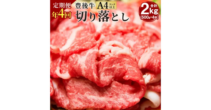 【ふるさと納税】【定期便4回】豊後牛 切り落とし 合計2kg 500g×4回 正統派黒毛和牛 竹田 おおいた豊後牛 黒毛和牛 和牛 牛肉 A4ランク以上 切落し 小間切れ 小分け 定期便 2月・5月・8月・11月にお届け 冷凍 すき焼き 肉じゃが しゃぶしゃぶ 九州産 国産 送料無料