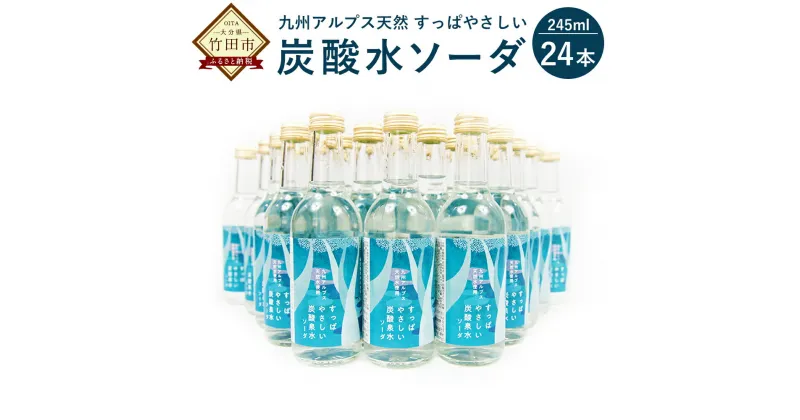 【ふるさと納税】九州アルプス天然 すっぱやさしい 炭酸水ソーダ 24本 245ml×24本 炭酸水 炭酸泉水 飲料水 炭酸 ドリンク ソフトドリンク 水 送料無料