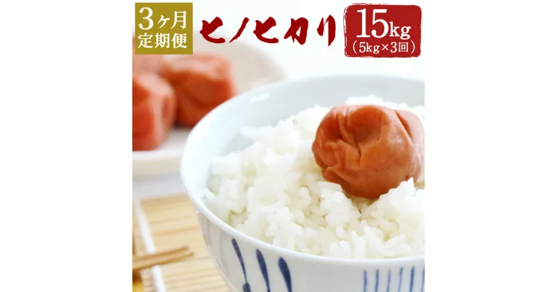 【ふるさと納税】【定期便3ヶ月】ヒノヒカリ 5kg×3ヶ月 合計15kg 大分県産 ひのひかり 精米 米 国産 九州産 送料無料