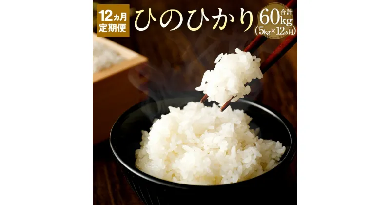 【ふるさと納税】【12か月定期便】 竹田市産 名水育ち ひのひかり 5kg×12か月 合計60kg 3年(2018年・2019年・2020年)連続 特A受賞 お米 白米 精米 定期便 大分県産 九州産 ヒノヒカリ 送料無料