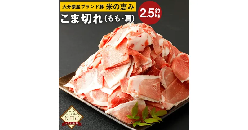 【ふるさと納税】大分県産 ブランド豚 米の恵み こま切れ 約2.5kg 約250g×10袋 小分け 肩切り落とし（もも・肩） 豚肉 お肉 グルメ 竹田市 冷凍 国産 送料無料