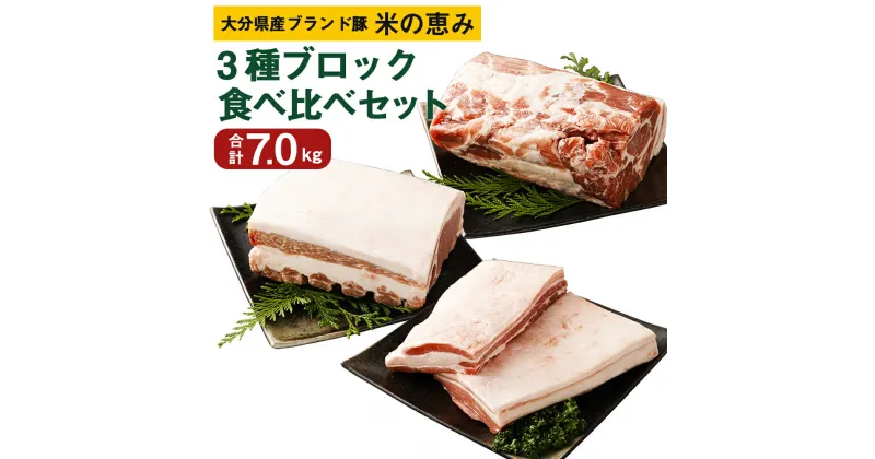 【ふるさと納税】大分県産ブランド豚 奥豊後豚（米の恵み）3種ブロック 食べ比べセット 合計7.0kg 肉 豚 豚肉 国産 定期便 ロース 肩ロース ブロック ブロック肉 かたまり 塊 かたまり肉 角煮 チャーシュー とんかつ トンテキ BBQ キャンプ 冷凍 大分県 竹田市 送料無料