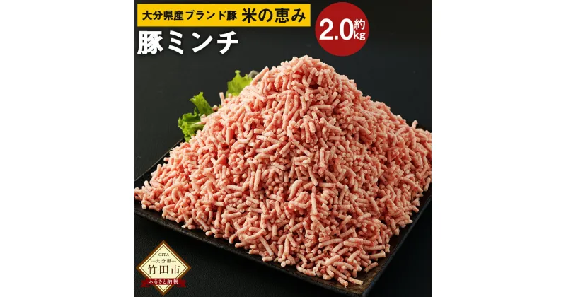 【ふるさと納税】大分県産ブランド豚「米の恵み」ミンチ 2kg 500g×4袋 豚肉 ポーク 豚ミンチ ひき肉 挽肉 挽き肉 そぼろ つくね ミートボール 国産 九州産 冷凍 大分県 竹田市 送料無料