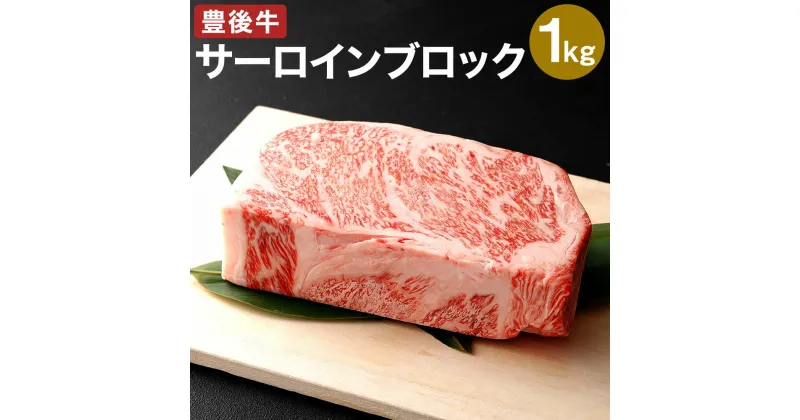 【ふるさと納税】おおいた 豊後牛 サーロイン ブロック 1kg 肉 牛 和牛 豊後牛 銘柄牛 国産牛 黒毛和種 黒毛和牛 和牛 かたまり肉 ステーキ ローストビーフ 冷凍 国産 九州産 竹田市 大分県産 送料無料