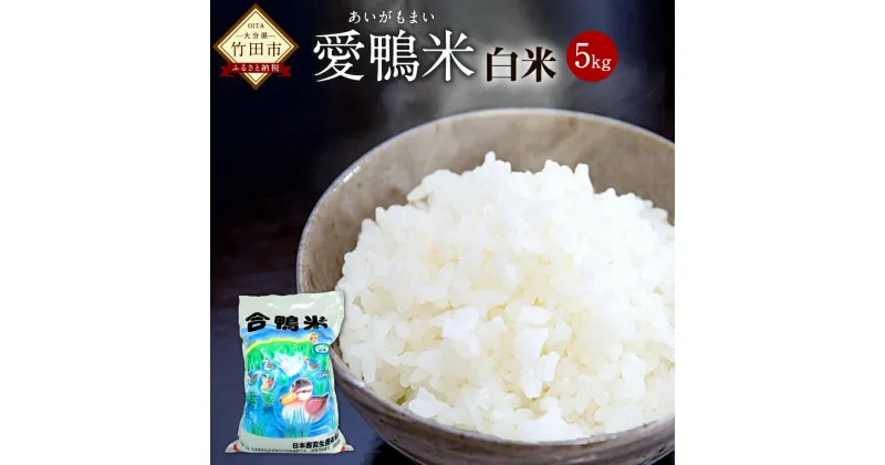 【ふるさと納税】〈令和6年産〉 愛鴨米 白米 5kg 送料無料 ナツホノカ うるち精米 祖母山 ミネラル 天然地下水 大分県産【2024年10月上旬-2025年10月上旬発送予定】