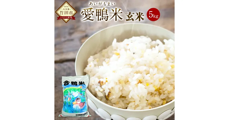 【ふるさと納税】〈令和6年産〉 愛鴨米 玄米 5kg 送料無料 ナツホノカ うるち玄米 祖母山 一番水 大分県産【2024年10月上旬-2025年10月上旬発送予定】