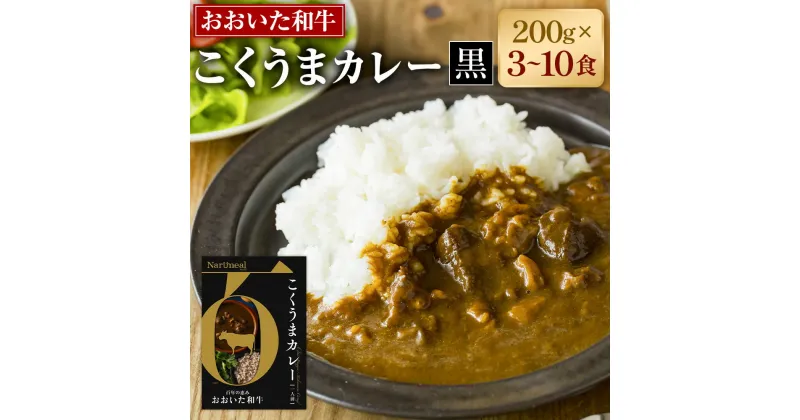 【ふるさと納税】百年の恵み おおいた和牛こくうまカレー(黒) 3個 5個 10個 セット 1箱 200g カレー レトルトカレー レトルト食品 おおいた和牛 和牛 牛 備蓄 常備食 保存食 お取り寄せ 常温保存 送料無料