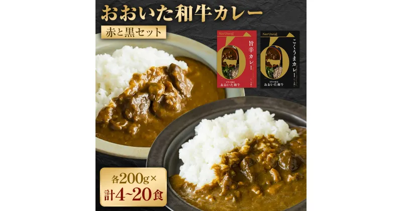 【ふるさと納税】百年の恵み おおいた和牛カレー 赤と黒セット 計4個 計6個 計10個 計20個 セット 1箱 200g カレー レトルトカレー レトルト食品 おおいた和牛 和牛 牛 備蓄 常備食 保存食 お取り寄せ 常温保存 送料無料