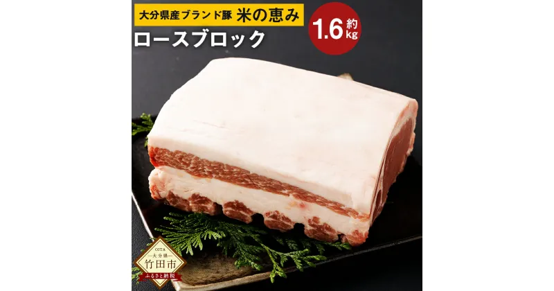 【ふるさと納税】大分県産 ブランド豚 奥豊後豚（米の恵み）ロース ブロック 1.6kg 肉 豚 豚肉 国産 とんかつ トンテキ ブロック肉 かたまり 塊 かたまり肉 冷凍 大分県 BBQ キャンプ 竹田市 送料無料