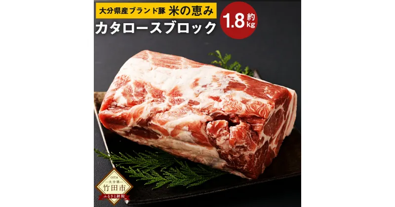 【ふるさと納税】大分県産 ブランド豚 奥豊後豚（米の恵み）カタロース ブロック 1.8kg 肉 豚 豚肉 国産 とんかつ トンテキ 肩ロース ブロック肉 かたまり 塊 かたまり肉 BBQ キャンプ 冷凍 大分県 竹田市 送料無料