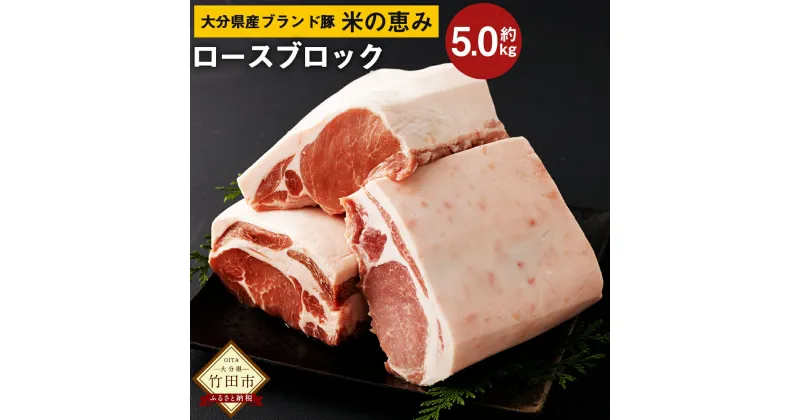 【ふるさと納税】大分県産 ブランド豚 奥豊後豚（米の恵み）ロース ブロック 5.0kg 2.5kg×2 肉 豚 豚肉 国産 とんかつ トンテキ ブロック肉 かたまり 塊 かたまり肉 BBQ キャンプ 冷凍 大分県 竹田市 送料無料