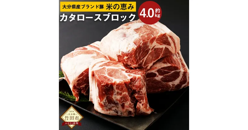 【ふるさと納税】大分県産 ブランド豚「米の恵み」カタロース ブロック 4.0kg 2.0kg×2 肉 豚 豚肉 国産 とんかつ トンテキ 肩ロース ブロック肉 かたまり 塊 かたまり肉 BBQ キャンプ 冷凍 大分県 竹田市 送料無料