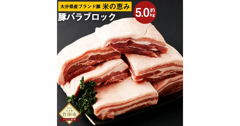 【ふるさと納税】大分県産ブランド豚 奥豊後豚（米の恵み）バラ肉 ブロック 5.0kg 2.5kg×2 肉 豚 豚肉 国産 角煮 チャーシュー 豚バラ ブロック肉 かたまり 塊 かたまり肉 BBQ キャンプ 冷凍 大分県 竹田市 送料無料