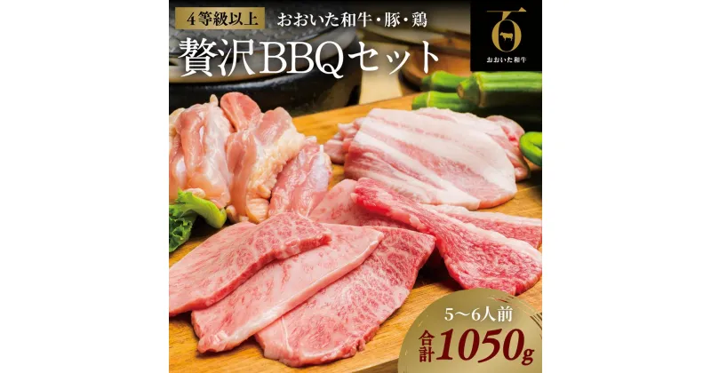 【ふるさと納税】黒毛和牛 おおいた和牛 豚バラ 鶏もも 焼肉 セット 合計 1050g 約 1kg