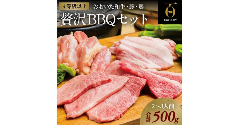 【ふるさと納税】黒毛和牛 A5 A4 おおいた和牛 豚バラ 鶏もも 焼肉 セット 合計 500g