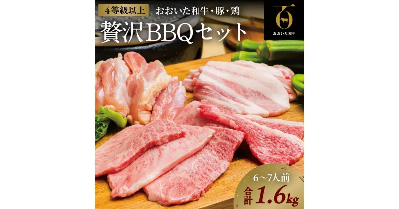 【ふるさと納税】黒毛和牛 A5 A4 おおいた和牛 焼肉 豚 バラ 鶏 セット 合計 1.6kg バーベキュー