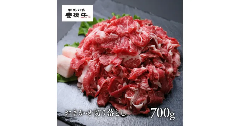 【ふるさと納税】牛肉 切り落とし 黒毛和牛 九州産 小分け 700g (350g×2P) おおいた豊後牛おまかせ切り落とし 肉 和牛 国産 冷凍 すき焼き 肉じゃが 人気