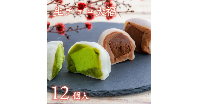 【ふるさと納税】生チョコ 大福、抹茶 生チョコ 大福 詰め合わせ 12個 チョコレート 抹茶 大福 詰合せ セット