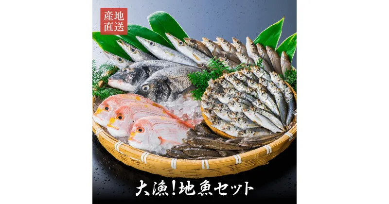 【ふるさと納税】獲れたら発送 地魚 セット 魚市場 旬