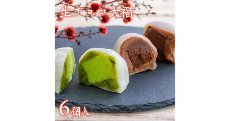 【ふるさと納税】生チョコ 大福 抹茶 生チョコ 大福 詰め合わせ 6個 もっちり スイーツ