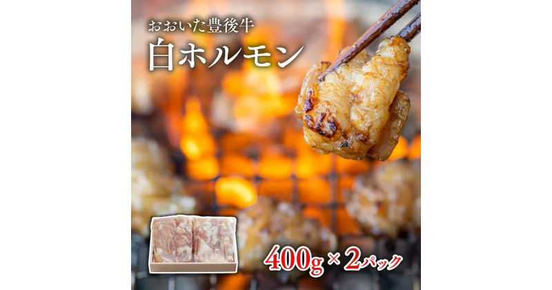 【ふるさと納税】ホルモン 白 焼肉 黒毛和牛 真空 400g×2パック 小腸 小分け 丸腸 牛 シマチョウ パック おおいた豊後牛 白ホルモン もつ 国産 九州 冷凍