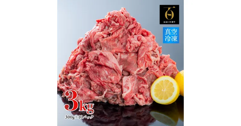 【ふるさと納税】牛肉 切り落とし A4 A5 小分け 黒毛和牛 300g×10パック (3kg) 真空パック 片桐さんの おおいた和牛 すき焼き 大好評 国産 牛 送料無料 冷凍