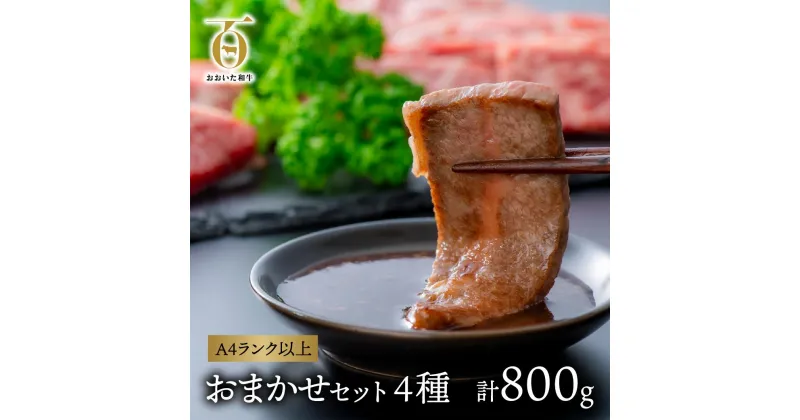 【ふるさと納税】黒毛和牛 A5 A4 片桐さんの おおいた和牛 おまかせ カルビ 焼肉 セット 800g