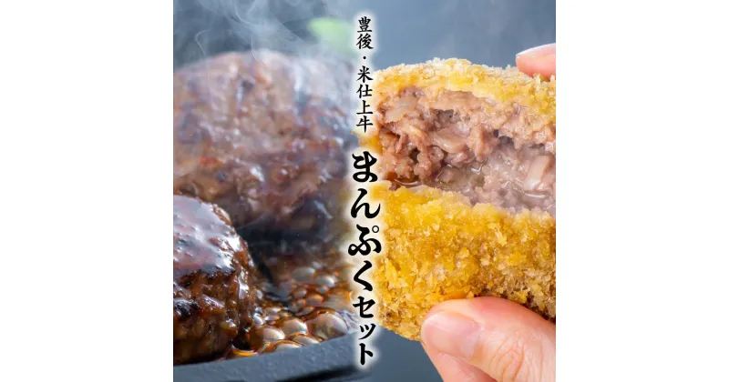 【ふるさと納税】豊後・米仕上牛 ハンバーグ メンチカツ セット 計 10個 手づくり 牛肉 大満足 食べ比べ