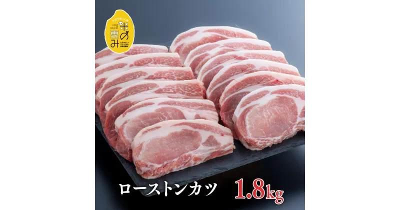 【ふるさと納税】豚肉 ロース とんかつ 150g×12枚 1.8kg 大容量 お得 中川さんちの米の恵み豚 ローストンカツ ブランド豚 豚ロース お肉 冷凍