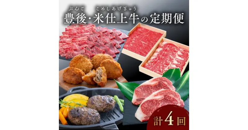 【ふるさと納税】豊後・米仕上牛 食べ尽し 定期便 毎月お届け 4回 発送 しゃぶしゃぶ ステーキ ハンバーグ メンチカツ