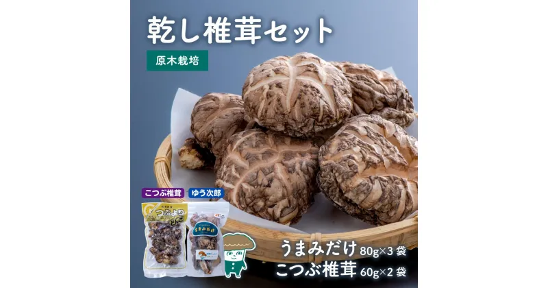 【ふるさと納税】乾し 椎茸 セット 360g 大分県 新ブランド うまみだけ ゆう次郎 80g × 3袋 こつぶ 60g × 2袋 干ししいたけ どんこ 原木