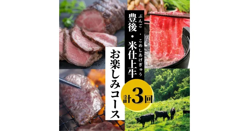 【ふるさと納税】豊後・米仕上牛 お楽しみ コース 定期便 牛肉 国産 すき焼き しゃぶしゃぶ カルビ 焼肉 ローストビーフ 送料無料