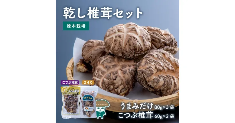 【ふるさと納税】乾し 椎茸 セット 360g 大分県 新ブランド うまみだけ 240 こつぶ 椎茸 どんこ 干ししいたけ 原木