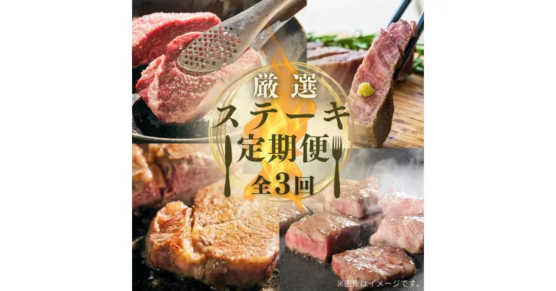 【ふるさと納税】ステーキ 牛 肉 和牛 サーロイン ヒレ 肩ロース 定期便 厳選 全3回 おおいた和牛 黒毛和牛 九州 大分県 送料無料