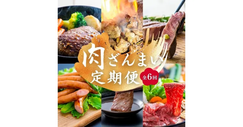 【ふるさと納税】肉 ざんまい 定期便 全6回 6か月 牛肉 焼肉 ステーキ スライス 鶏肉 ウインナー ハンバーグ