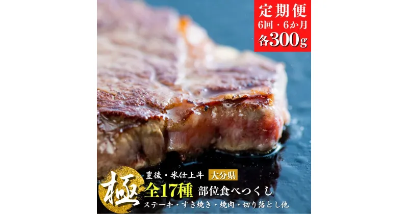 【ふるさと納税】【 定期便 】6か月 6kg 部位 17 種類 食べつくし 豊後・米仕上 牛【極】大分県産 ブランド牛