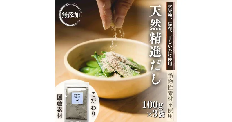 【ふるさと納税】天然 精進 だし 100g×3袋 無添加 国産 素材 玄米 麹 昆布 干 しいたけ