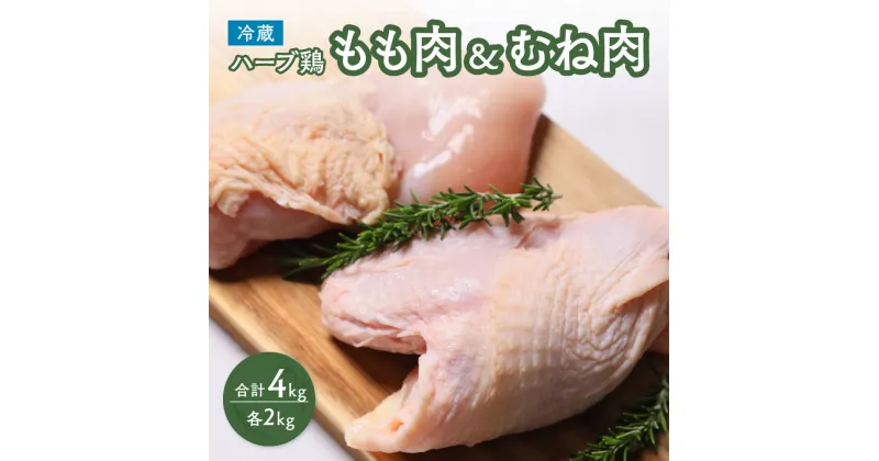 【ふるさと納税】鶏肉 もも むね 肉 ハーブ鶏 各2kg モモ肉 ムネ肉 セット 大分県産 計4kg 業務用 冷蔵 配送 国産 九州　 鶏もも 鶏むね にく