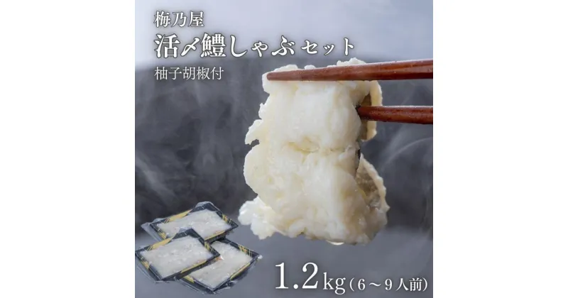 【ふるさと納税】活〆鱧しゃぶしゃぶセット 1200g（6～9人前）