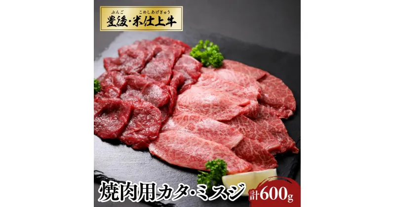 【ふるさと納税】焼肉 BBQ 大分県産 牛肉 カタ ミスジ ウデ 肉 600g 部位 セット 「豊後 ・ 米仕上牛」 豊後高田市産 ブランド牛