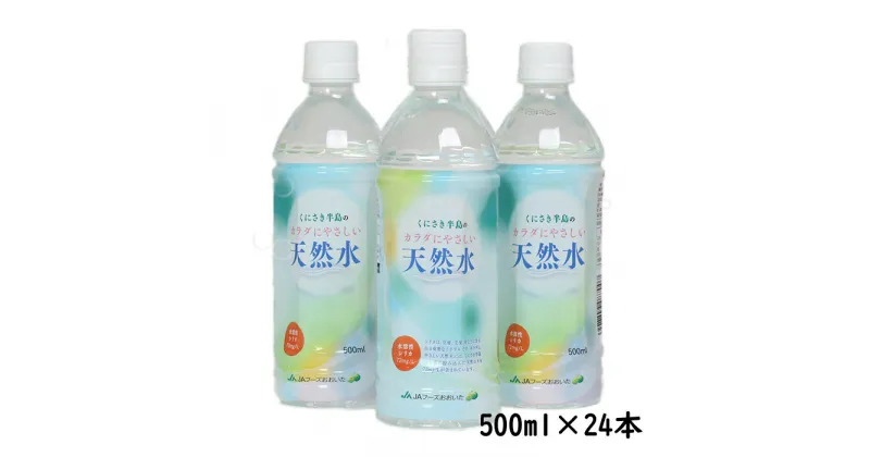 【ふるさと納税】くにさき半島のカラダにやさしい天然水　500ml×24本＜131-007_5＞