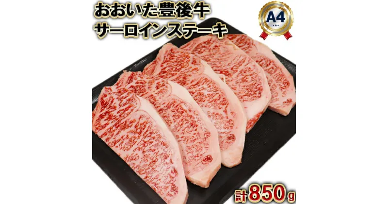 【ふるさと納税】おおいた豊後牛サーロインステーキ850g（170g×5枚）＜105-007_5＞