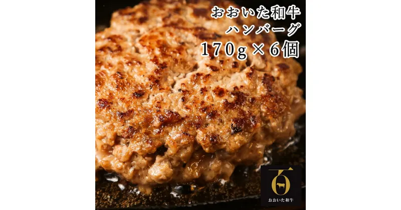 【ふるさと納税】おおいた和牛特製ハンバーグ170g×6個（計1020g）【匠牧場】＜102-030_5＞