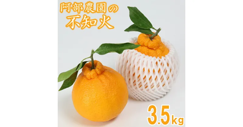 【ふるさと納税】阿部農園の「ハウス葉付き不知火 約3.5kg」 みかん 柑橘類 不知火 1月 2月 3月 数量限定 フルーツ 越冬完熟 ＜112-006_5＞