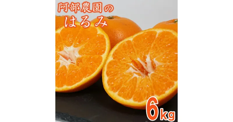 【ふるさと納税】【訳あり品】阿部農園の「はるみ 約6kg」 みかん 柑橘類 はるみ 先行予約 2月 3月 訳あり 数量限定 フルーツ ＜112-008_5＞