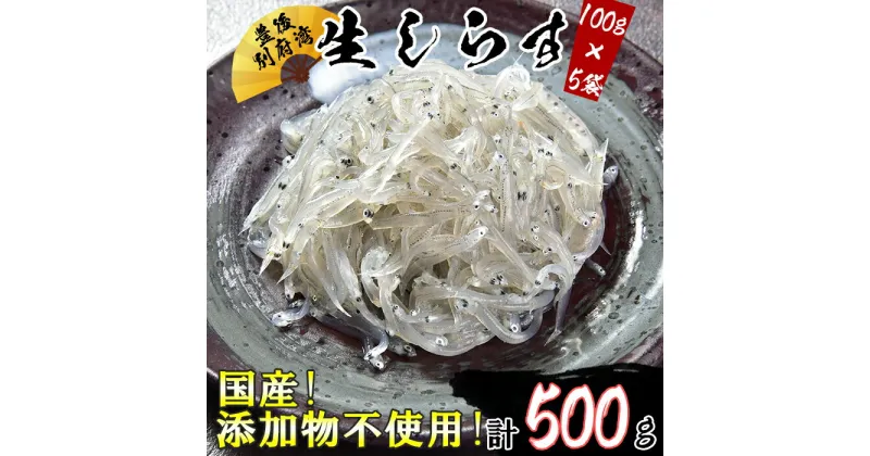 【ふるさと納税】国産！添加物不使用！豊後別府湾生しらす 500g（100g×5パック）＜108-029_5＞