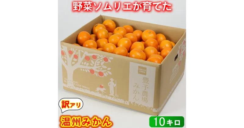 【ふるさと納税】【訳あり品】温州みかん 10kg 訳あり 期間限定 数量限定 先行予約 サイズ不揃い 傷 規格外 フルーツ 果物 野菜ソムリエ石児さん 豊予農場 ＜103-005_5＞