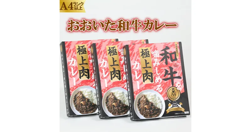 【ふるさと納税】杵築産おおいた和牛カレー3食セット（レトルトカレー）＜120-001_5＞