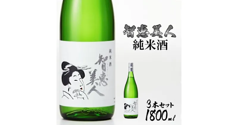 【ふるさと納税】中野酒造　清酒「智恵美人　純米酒」1800ml 3本セット 日本酒＜105-029_5＞