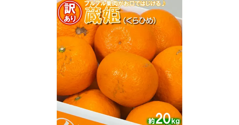 【ふるさと納税】【訳あり・優品】今村農園の蔵姫くらひめ（紅甘夏） 約20kg 先行予約 果物 フルーツ 傷 不揃い＜107-031_5＞